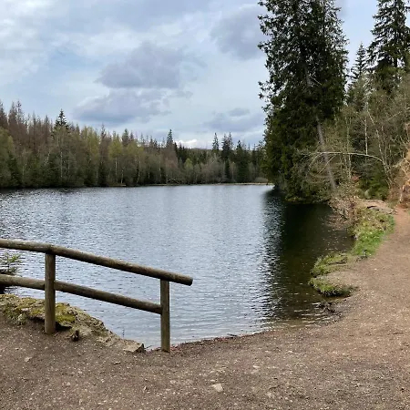 Daire Harzer Roller 1+2