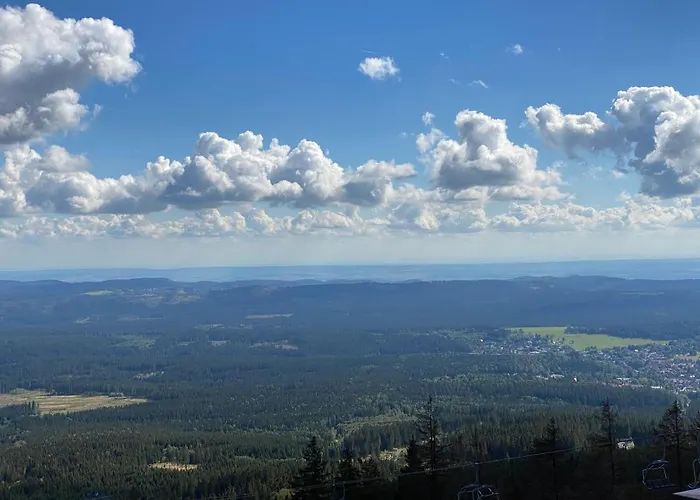 Harzer Roller 1+2 * Braunlage